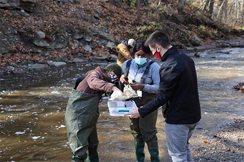 環境工程專業的學生從貝爾德溪采集樣本