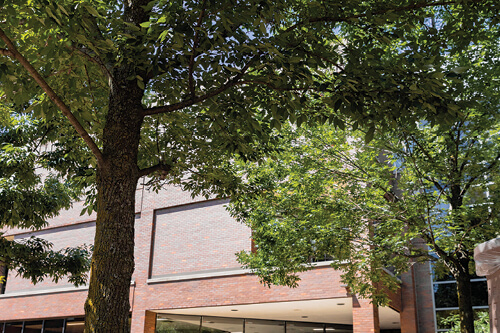 NWTC接收2021樹校園高等教育認可